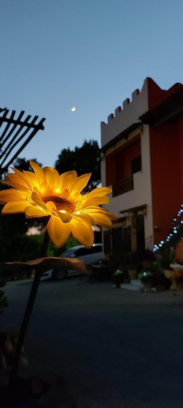 Kastro Studios Pigi (Crete) Exterior foto